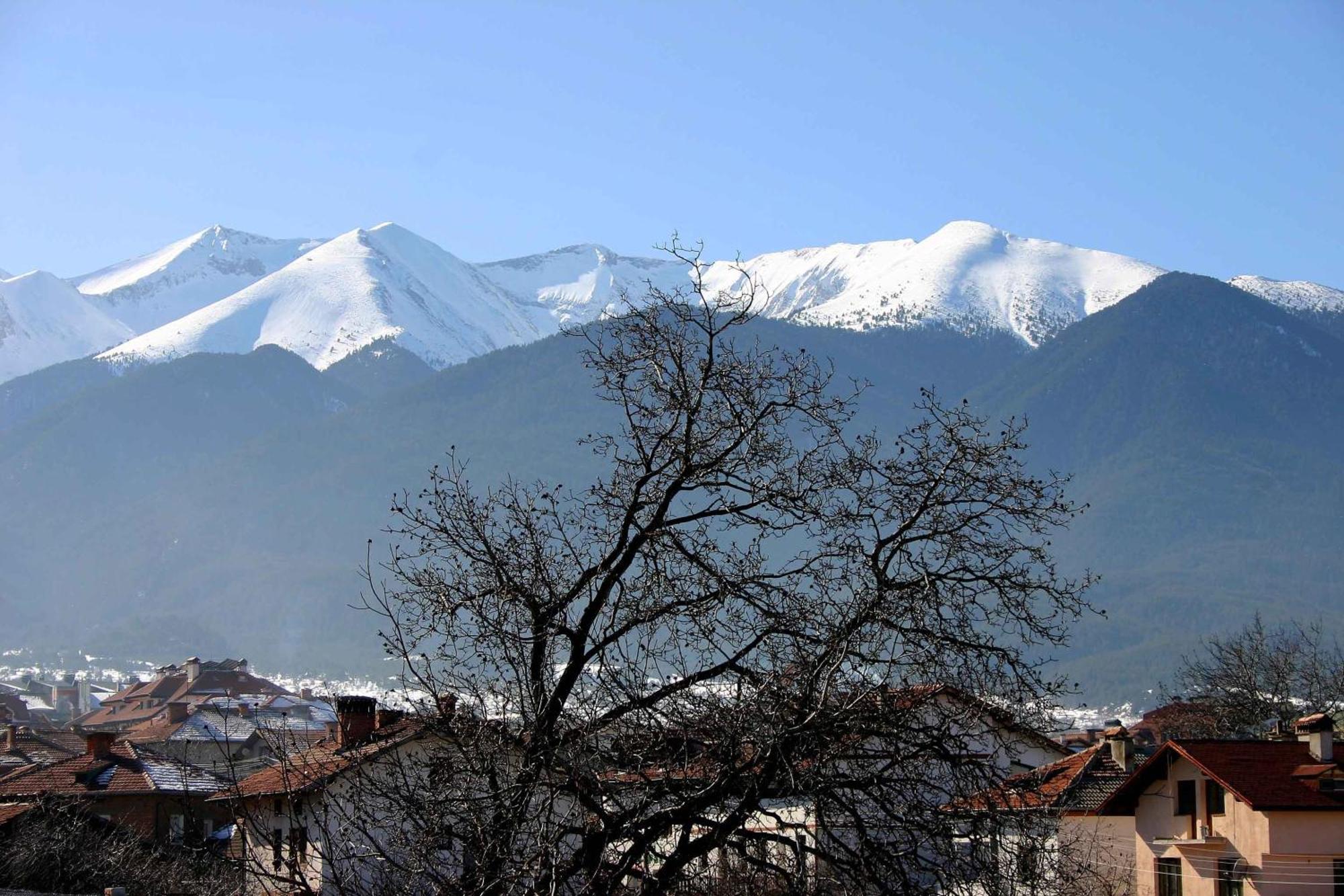 Family Hotel Bisser Bansko Esterno foto