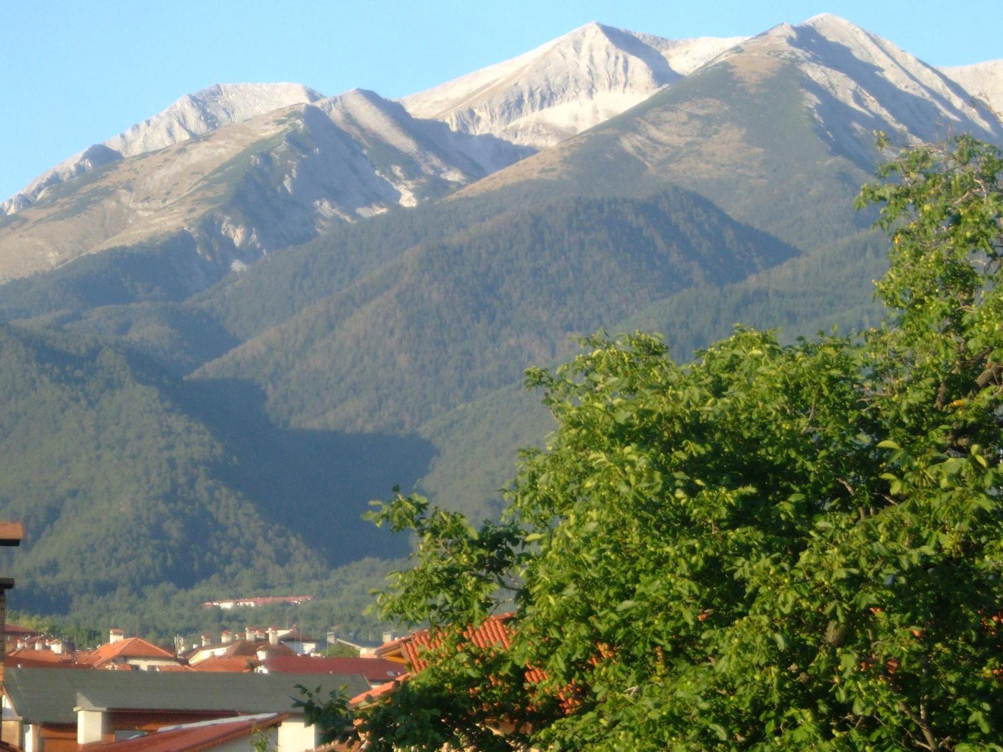 Family Hotel Bisser Bansko Esterno foto
